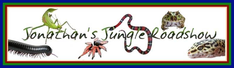 Jonathan's Jungle Roadshow Header Image